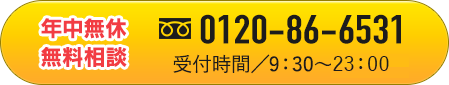0120-86-6531
